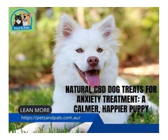 Natural CBD Dog Treats for Anxiety Treatment: A Calmer, Happier Puppy