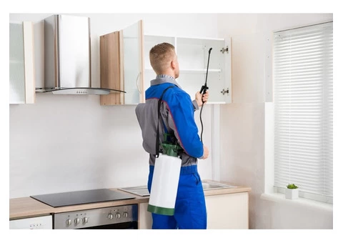 Organic Pest control in Melton solutions