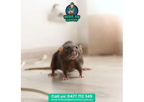 Banish the Uninvited Guests With Rodent Removal Services in Melbourne