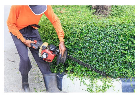 Garden Mulch