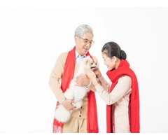 Personal Home Care Assistance | Elder Care Agencies Near Me | Young Heart