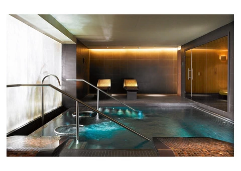 Swim Spas For Sale - Alpine Spas - 4/4