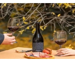 Get Natural Wine Brands at the Best Price - Tamada