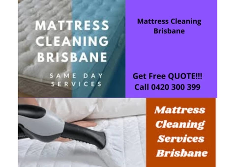 Carpet Cleaning Service in Brisbane - 3/3