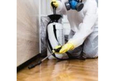 Bond cleaning brisbane