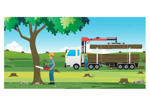 Get the best Tree Removal services in Cammeray