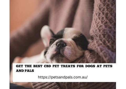 Get The Best CBD Pet Treats For Dogs At Pets And Pals