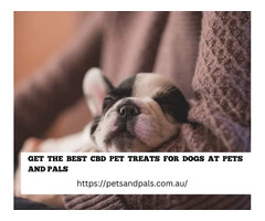 Get The Best CBD Pet Treats For Dogs At Pets And Pals