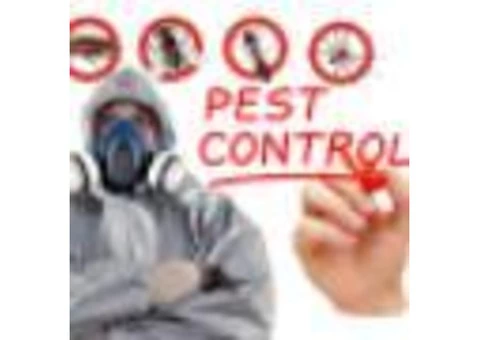Flatline Pest Control - Best Pest Control Central Coast