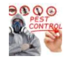 Flatline Pest Control - Best Pest Control Central Coast