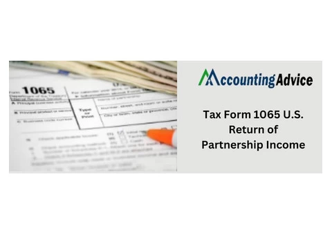 Guide : Tax Form 1065