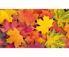 Enhance Your Child's Development with the Top Child Care and Early Learning Centre Southern River