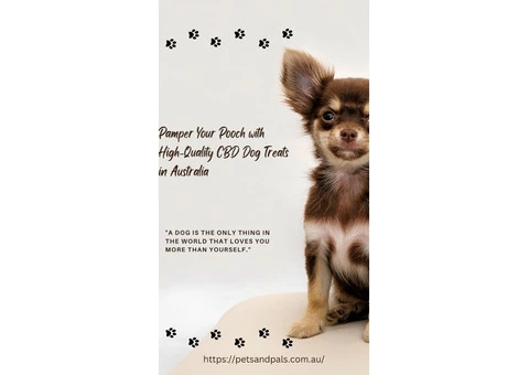 Pamper Your Pooch with High-Quality CBD Dog Treats in Australia