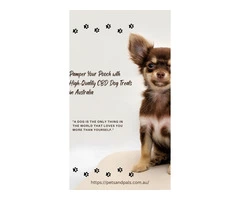 Pamper Your Pooch with High-Quality CBD Dog Treats in Australia