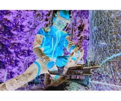 Tree Removal Mount Waverley - Pro Cut Tree Removal Services