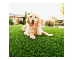 Sydney Turf Suppliers Available At Nominal Rates