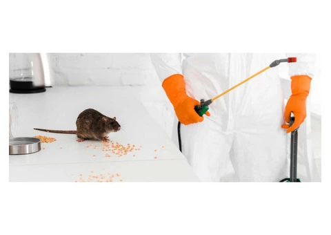 Frontline Rodent Control Brisbane - 2/2