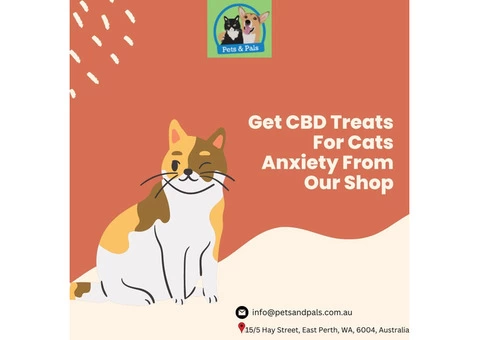 Get CBD Treats For Cats Anxiety From Our Shop