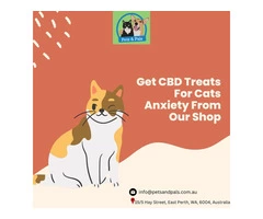 Get CBD Treats For Cats Anxiety From Our Shop