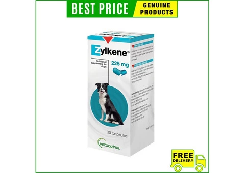 Zylkene maintains your dog’s behaviour at affordable pricing.