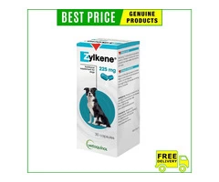 Zylkene maintains your dog’s behaviour at affordable pricing.