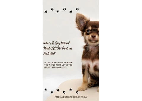 Where To Buy Natural Plant CBD Pet Treats in Australia?