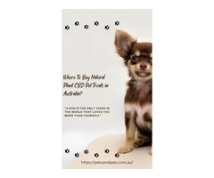 Where To Buy Natural Plant CBD Pet Treats in Australia?