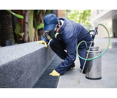 Pest Control Wilston