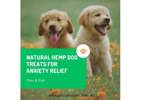 Natural Hemp Dog Treats for Anxiety Relief