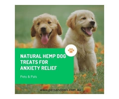 Natural Hemp Dog Treats for Anxiety Relief