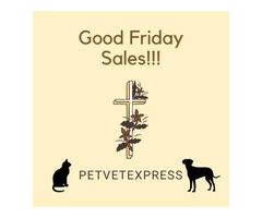 Celebrate Good Friday with your pet with surprising offers at PetVetExpress.