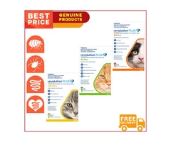 Does your cats encountered with Fleas, Ticks and other similar parasites?