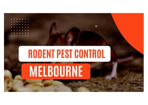 Say Goodbye to Rodents: Professional Rodent Control Services in Melbourne
