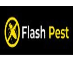 Welcome to Your Local Pest Control