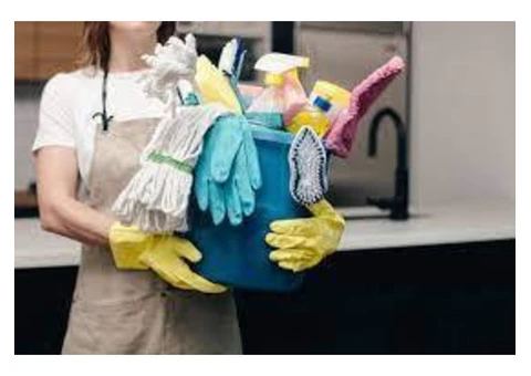Renowned Upholstery Cleaning in Gold Coast