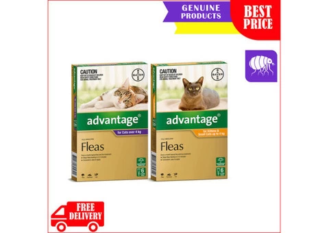 ADVANTAGE for Cats 6 Pipettes Flea Control
