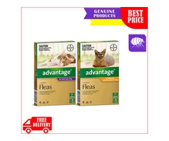 ADVANTAGE for Cats 6 Pipettes Flea Control