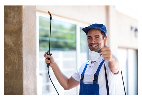 Best Pest Control Melbourne