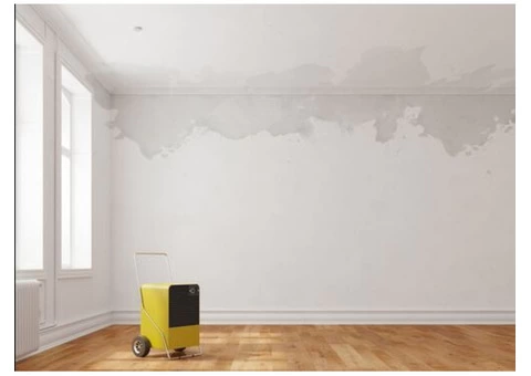 Water Damage Repair Canberra