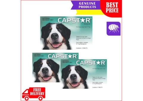 CAPSTAR Green for fast relief from adult fleas for dogs