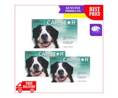 CAPSTAR Green for fast relief from adult fleas for dogs