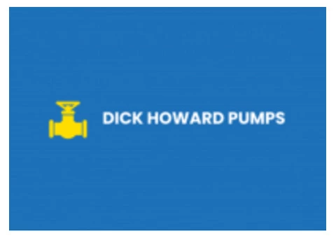 Dick Howard Pumps
