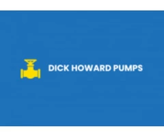 Dick Howard Pumps