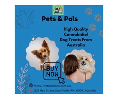 High Quality Cannabidiol Dog Treats From Australia