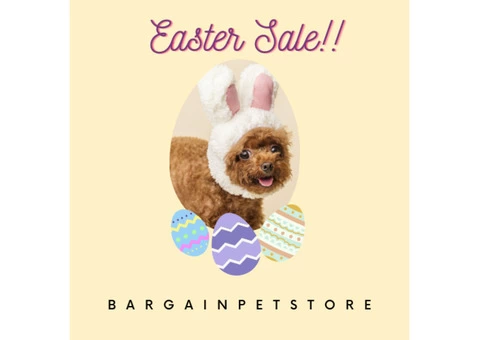 The most wanted Easter sale is here available only at BargainPetStore.