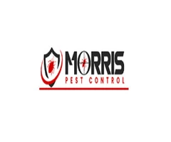 Morris Cockroach Control Sydney