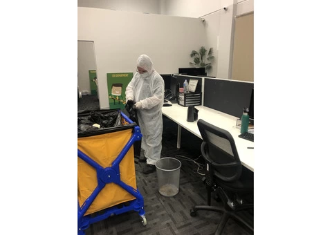 Professional Cleaning Services In Sydney | OZAP Cleaning Services - 3/5