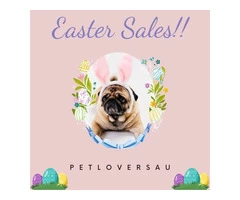 It's time for Easter sales!!! Only at PetLoversAU can you find all the best prices on pet supplies.