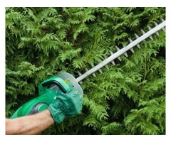 Affordable Hedge Cutting in Melbourne