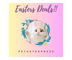 It's time for Easter sales!!! Only at PetVetExpress you find all the best prices on pet supplies.
